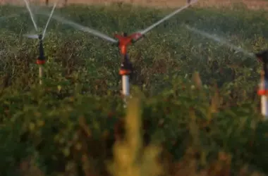 La infrautilización del agua regenerada en Ibiza: Un desafío crítico para la sostenibilidad de la isla