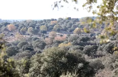 Corredor Hispano-Luso: Conectando la Biodiversidad Transfronteriza