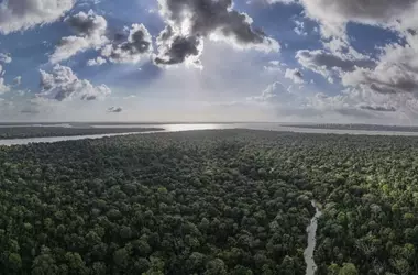 La Mata Atlántica Brasileña Alcanza Mínimos Históricos en Deforestación