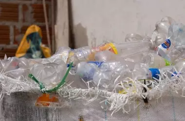 Plásticos Reciclados y Materiales Biológicos: Riesgos Emergentes para la Salud Alimentaria