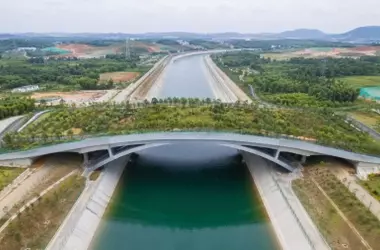 Puente Ecológico Gigante de China: Una Esperanza para la Biodiversidad Amenazada