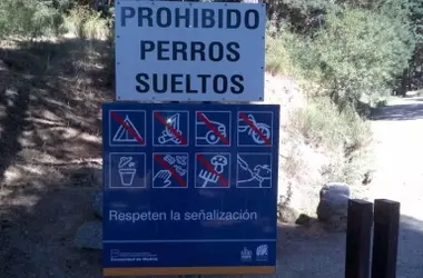 Nuevas Multas en España por Perros Sueltos: Lo que Todo Dueño Debe Saber