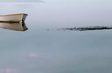 Proceso judicial por contaminación en el Mar Menor busca establecer responsabilidades ambientales históricas
