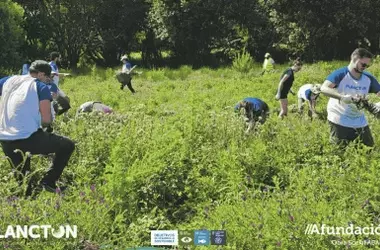 Un ejército de voluntarios lucha por la biodiversidad en la isla de Ons