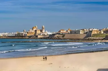 Cádiz Recibe Ayudas Récord Frente a la Invasión del Alga Rugulopteryx okamurae