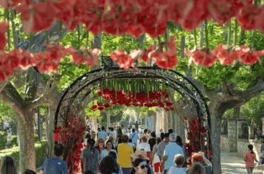 Festival “Zaragoza Florece” bajo escrutinio ambiental por sus efectos adversos