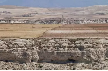 Aves fósiles únicas revelan un humedal prehistórico en Granada de hace 1,5 millones de años