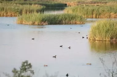 El renacimiento superficial de Las Tablas de Daimiel oculta una fragilidad hídrica profunda