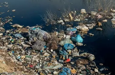 España Incumple la Directiva Penal Ambiental de la UE: Un Retraso Inaceptable en la Lucha Contra los Delitos Ecológicos