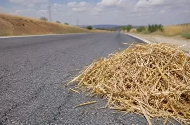 España Lidera la Innovación Ambiental con Carreteras de Paja de Trigo