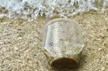 Un estudio revela que los residuos plásticos dominan la contaminación oceánica global