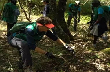 IMAGIN y sus Anillos de Seguridad Revolucionan la Prevención de Incendios Forestales en España