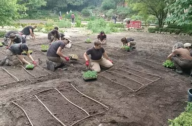 Plantas ancestrales resistentes al clima: oportunidad para el empleo verde