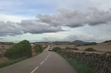La Amenaza Silenciosa: Flora Exótica Invasora, Incendios y Destrucción de Ecosistemas en España