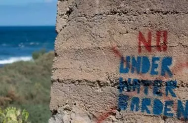 Jardines Submarinos de Tenerife: ¿Conservación Genuina o “Greenwashing”? Un Análisis Crítico del Proyecto Turístico