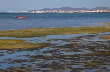 La Crisis de Nitratos en el Mar Menor: Un Enfrentamiento Ambiental y Político