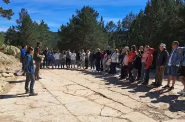 Nuevos Descubrimientos de Huellas de Dinosaurios Carnívoros en Teruel: El Yacimiento de Mas de Pérez Revela Secretos del Cretácico Superior