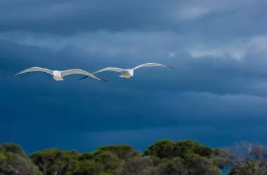 Clima extremo en España: Sur con 38°C, Norte con Tormentas