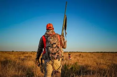 Reducción de la caza de rebecos y venados en la Reserva del Saja: Gobierno defiende las restricciones para la sostenibilidad y el equilibrio ambiental ante el malestar cinegético