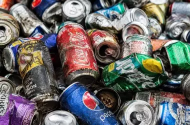 La perseverancia ecológica de un hombre transforma residuos en hogar propio