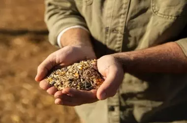 Innovación Europea: Cerveza y Alimentos Sostenibles a partir de Residuos de Cereales y Legumbres