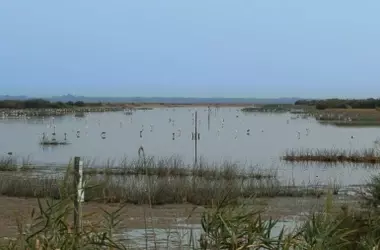 El Congreso Refuerza la Protección de Doñana: Aprobada la Restauración del Río Guadiamar