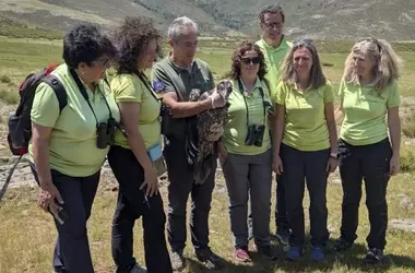 Gredos da la bienvenida a nuevos quebrantahuesos: un paso más en su recuperación