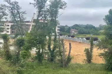 La tala de árboles ribereños amenaza el ecosistema del río Severies