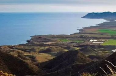 Cabo Cope: Santuario de Aves Amenazadas en el Mediterráneo Español