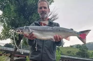 La apertura de la temporada de salmón en Cantabria: la primera captura en el río Nansa