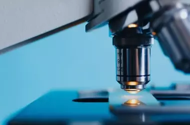 Descubrimiento de una Nueva Alga Microscópica: Craticula scientiacivica