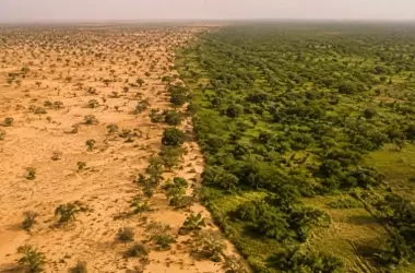 La Gran Muralla Verde de África: Un Esfuerzo Monumental para Contener el Sáhara y Revitalizar Vidas