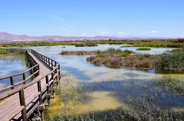 Fundación Global Nature Recibe el Prestigioso LIFE Award 2026 por su Innovador Proyecto de Humedales