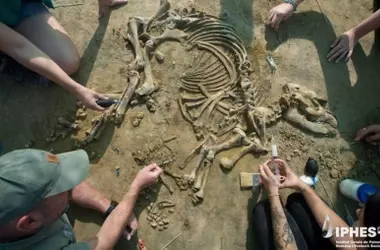 Un bebé tapir reescribe la prehistoria: un hallazgo milenario en Girona