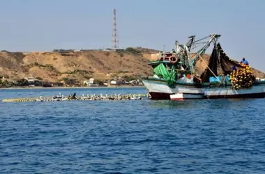 La Pesca Ilegal Intensifica la Degradación de los Océanos