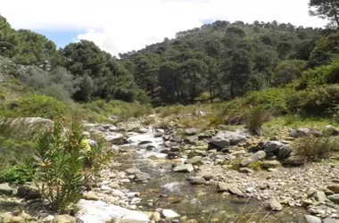 Ríos Intermitentes: Un Desafío para la Evaluación Ambiental Moderna
