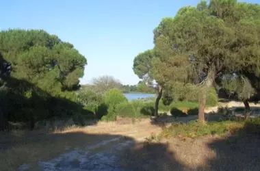 La Laguna de Las Madres: Un Modelo de Restauración Ambiental contra la Desertificación en Huelva