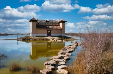España ante el Reto de la Restauración Natural: Financiación y Participación Pública en Entredicho