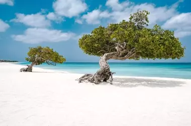 La UNESCO amplía su red global de Reservas de la Biosfera con 14 nuevas inclusiones