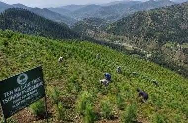 Pakistán: El Gigante Verde que Surge de la Destrucción