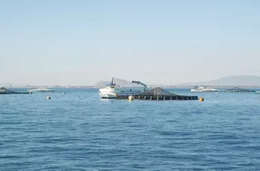 Rebelión ciudadana en Canarias contra la macrogranja marina de La Aldea