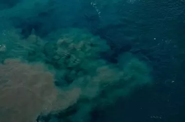 La Preocupación por los Nitratos en el Agua se Intensifica tras la Decisión de Dinamarca de Reducir Drásticamente los Límites
