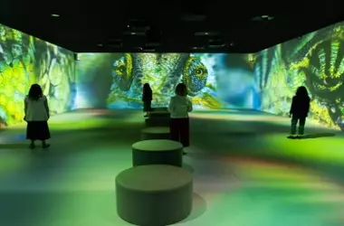 Celebran la Biodiversidad en CaixaForum Madrid: La Naturaleza tiene la Capacidad de Recuperarse