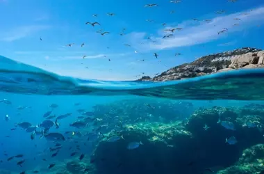 Urgente: El Tratado de Alta Mar exige acción inmediata en el Mediterráneo