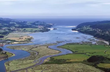 Urdaibai en la encrucijada: debate sobre la protección ambiental y el desarrollo económico