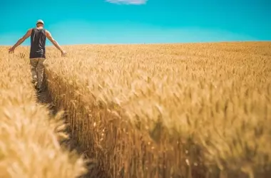 Las feromonas revolucionan la agricultura, despidiendo a los pesticidas