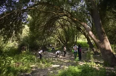 La Plaga Silenciosa: El Plástico Domina la Basura en la Naturaleza Española