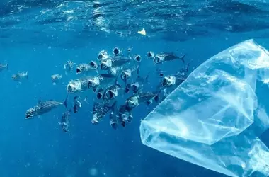 La invasión de plástico en los océanos podría triplicarse antes de 2060: un desafío global inminente