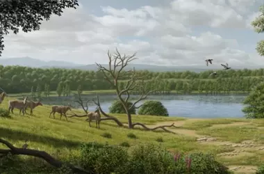 El Enigma del Búfalo Prehistórico: Un Gigante Catalán que Reconfigura la Evolución Europea