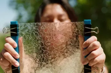 Escamas de Pescado: La Innovadora Solución del MIT para un Plástico Biodegradable